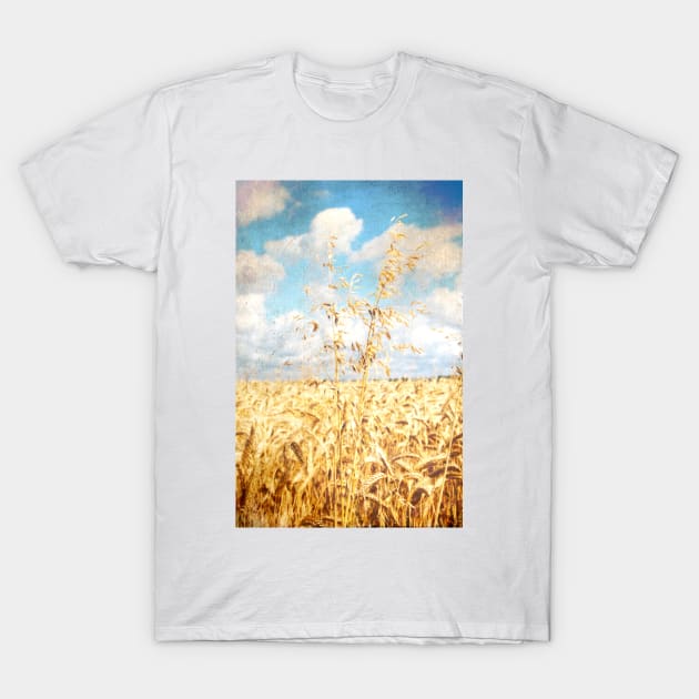 Harvest T-Shirt by rosedew